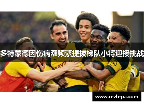 多特蒙德因伤病潮频繁提拔梯队小将迎接挑战
