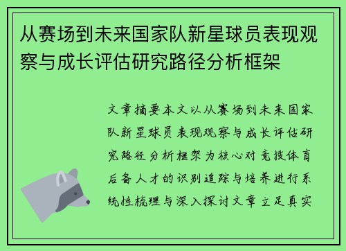 从赛场到未来国家队新星球员表现观察与成长评估研究路径分析框架